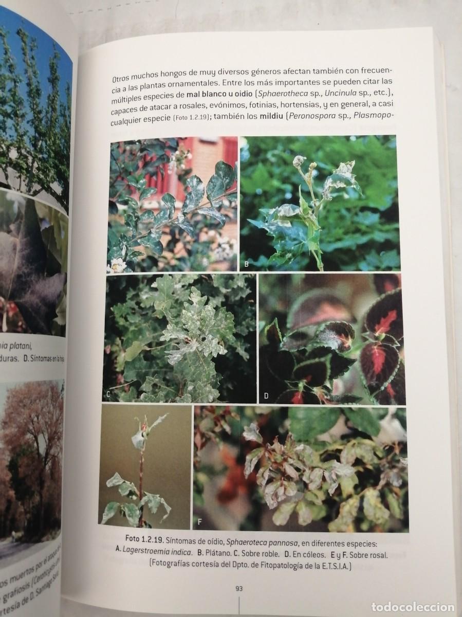 Libros de segunda mano: Mantenimiento y Conservaci&oacute;n de &Aacute;reas Ajardinadas - Foto 3