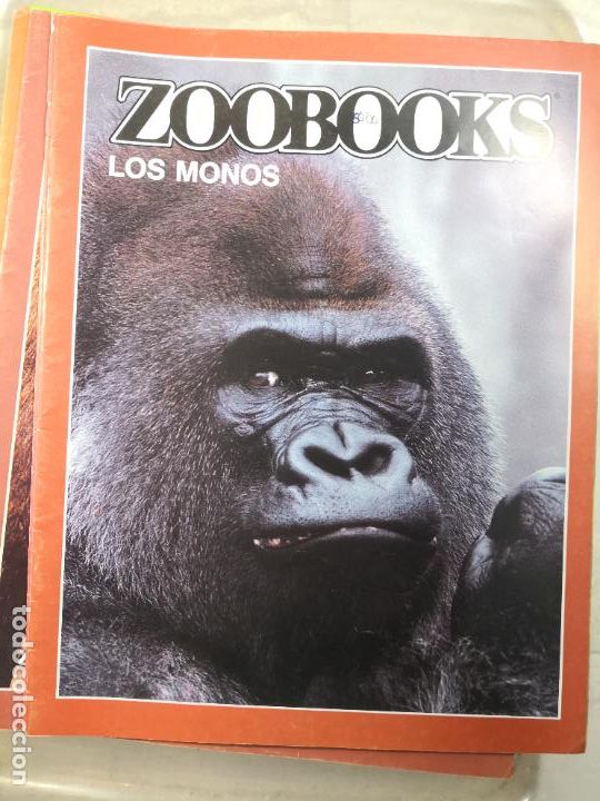 Libros de segunda mano: ZOOBOOK-PORTES 4,99 - Foto 1