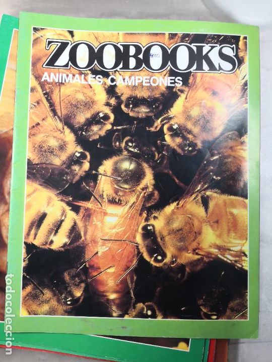Libros de segunda mano: ZOOBOOK-PORTES 4,99 - Foto 1