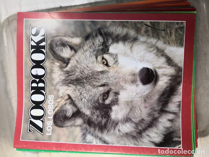 Libros de segunda mano: LOS LOBOS-ZOOBOOK-PORTES 4,99 - Foto 2