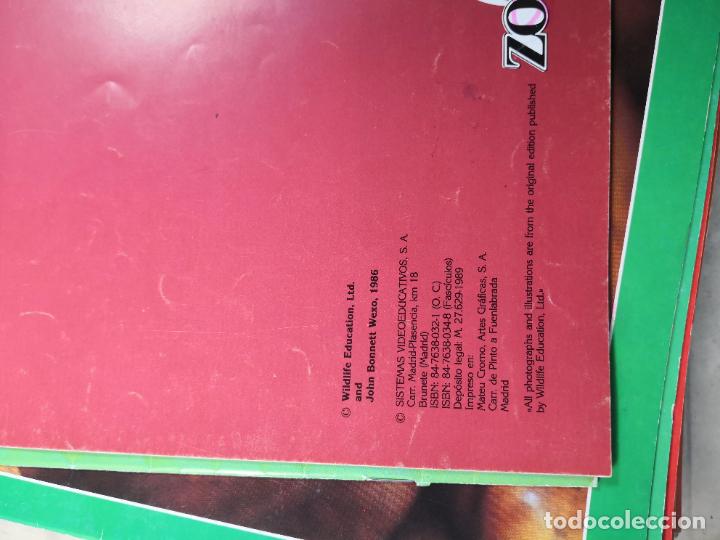 Libros de segunda mano: LOS LOBOS-ZOOBOOK-PORTES 4,99 - Foto 3