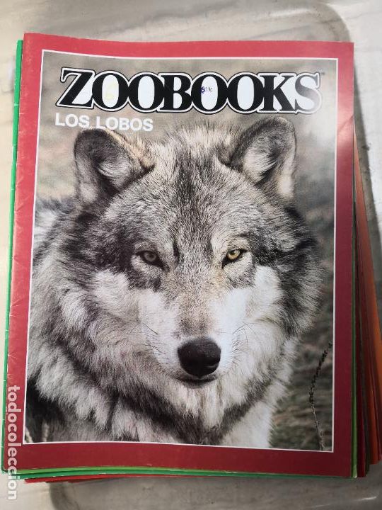 Libros de segunda mano: LOS LOBOS-ZOOBOOK-PORTES 4,99 - Foto 1
