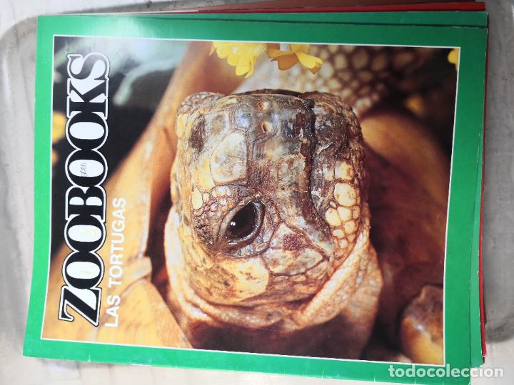Libros de segunda mano: ZOOBOOK-PORTES 4,99 - Foto 2