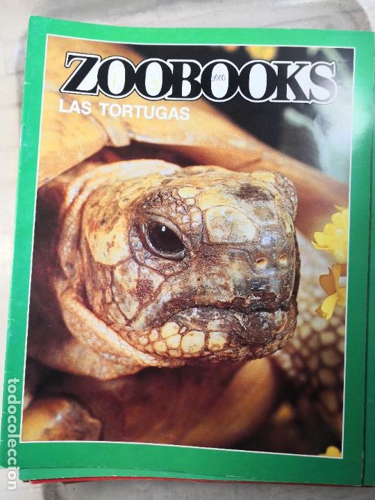 Libros de segunda mano: ZOOBOOK-PORTES 4,99 - Foto 1