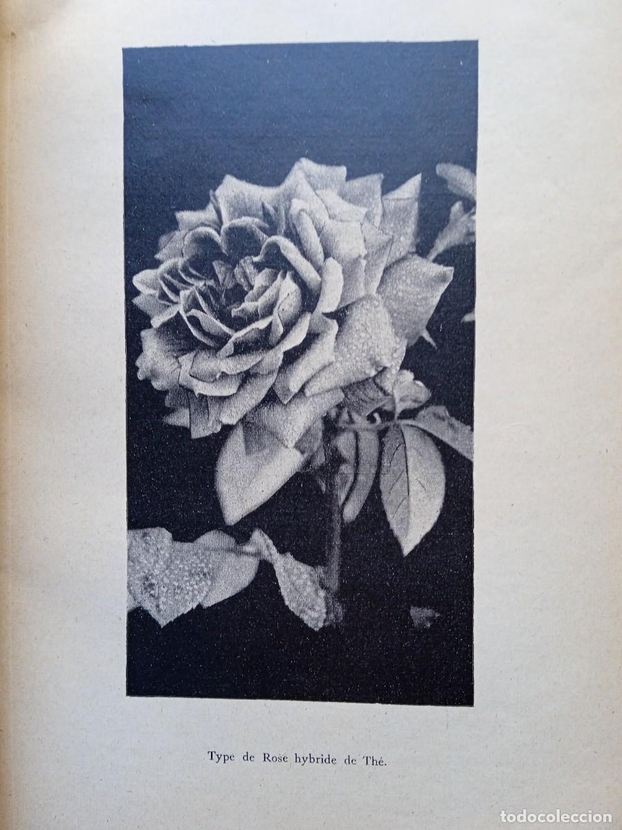 Libros de segunda mano: Les rosiers Andr&eacute; Leroy - Foto 5