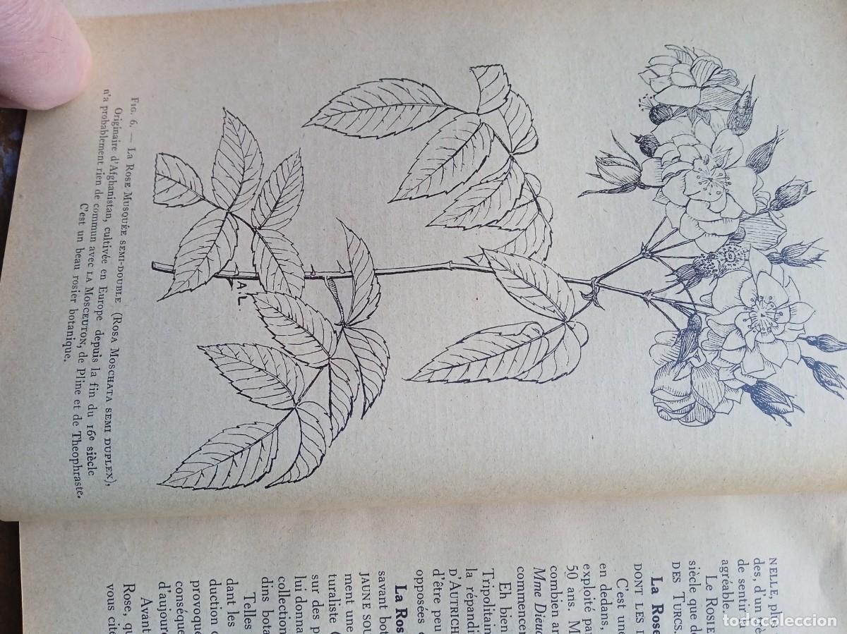 Libros de segunda mano: Les rosiers Andr&eacute; Leroy - Foto 7