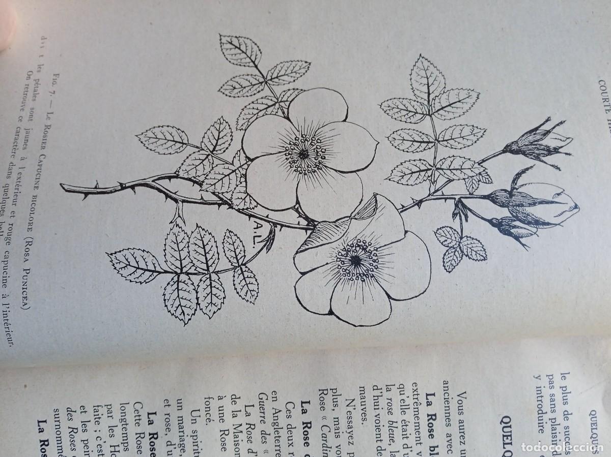 Libros de segunda mano: Les rosiers Andr&eacute; Leroy - Foto 8