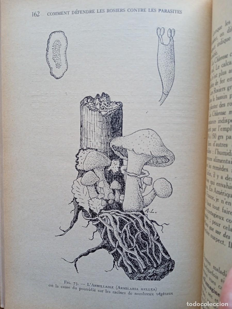 Libros de segunda mano: Les rosiers Andr&eacute; Leroy - Foto 13