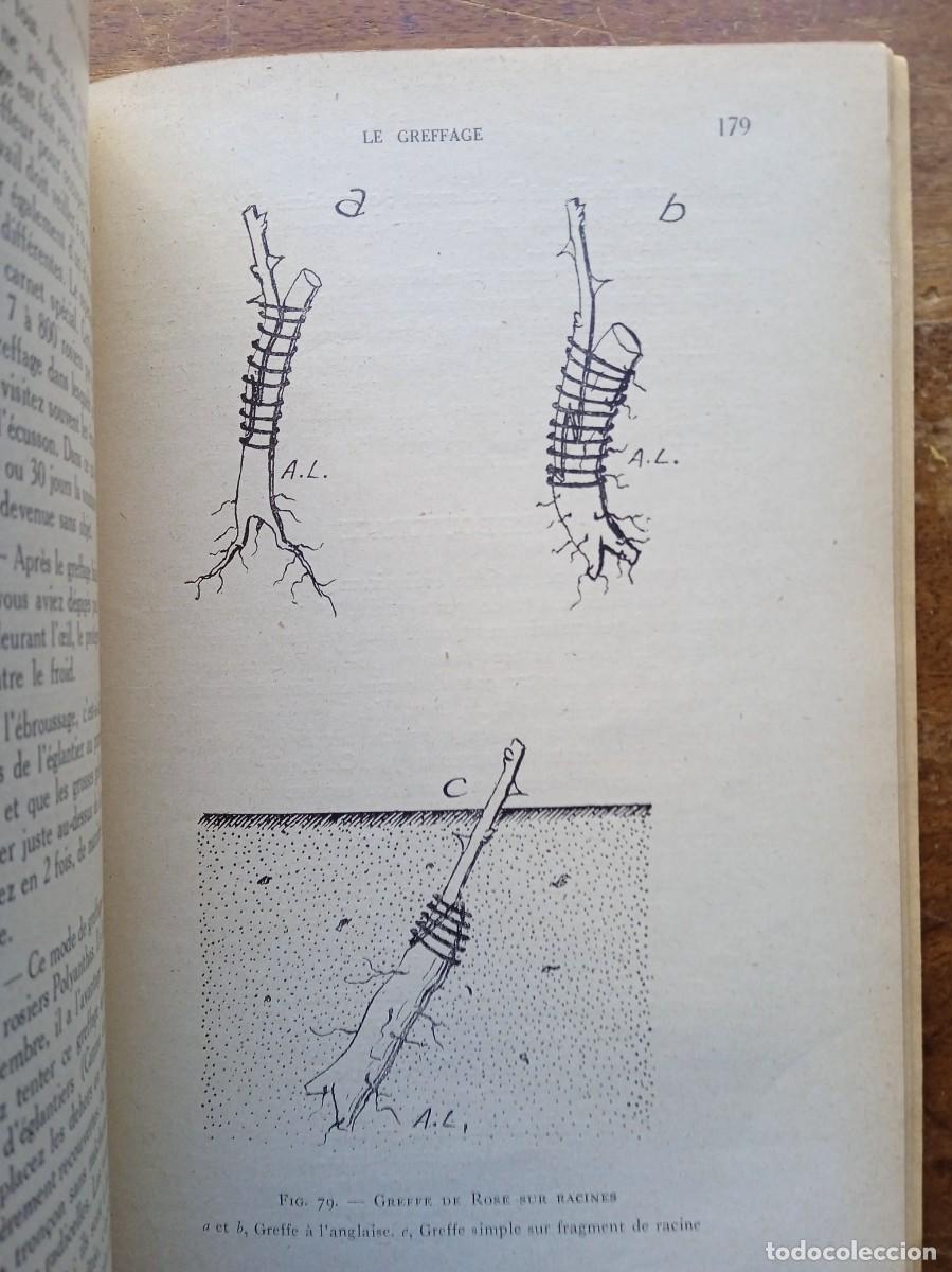 Libros de segunda mano: Les rosiers Andr&eacute; Leroy - Foto 14