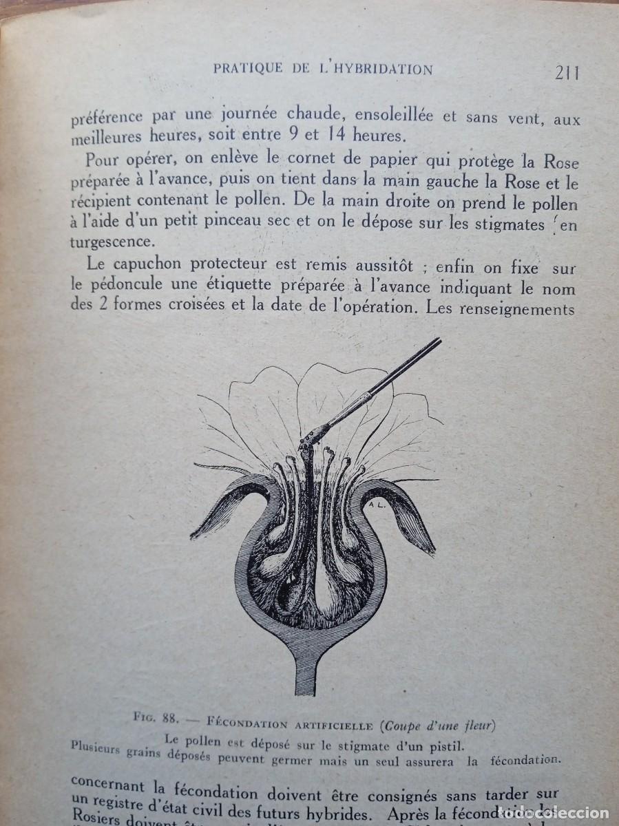 Libros de segunda mano: Les rosiers Andr&eacute; Leroy - Foto 15