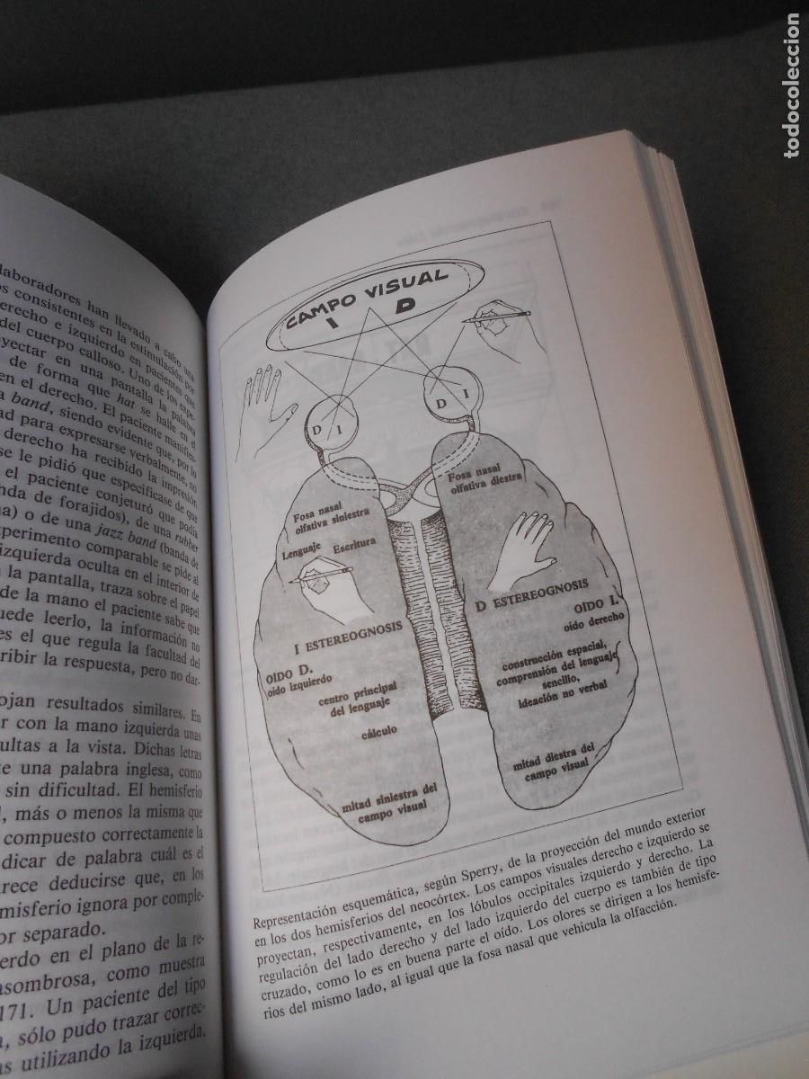 Libros de segunda mano de ciencias: LOS DRAGONES DEL EDEN - Foto 6