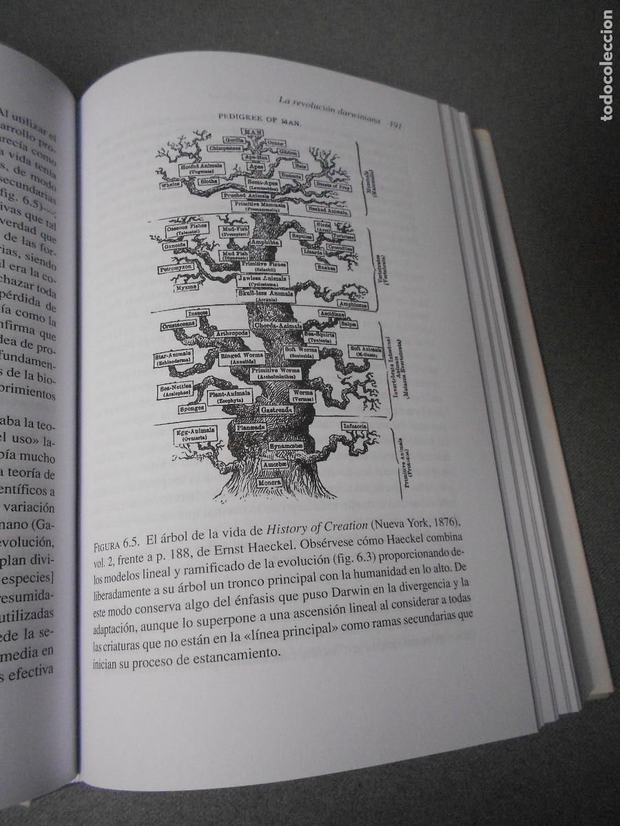 Libros de segunda mano de ciencias: PANORAMA GENERAL DE LA CIENCIA MODERNA - Foto 6