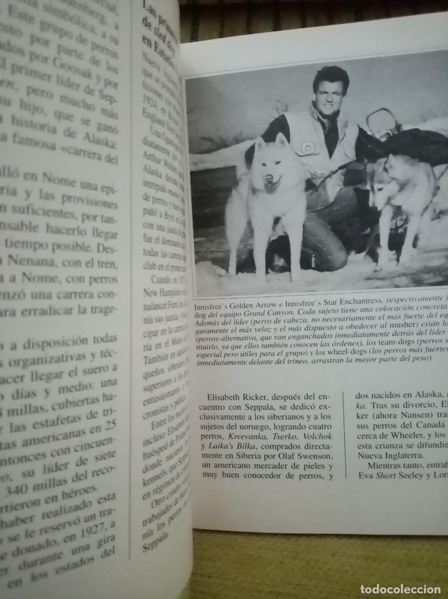 Libros de segunda mano: EL HUSKY SIBERIANO perros de raza - Foto 7