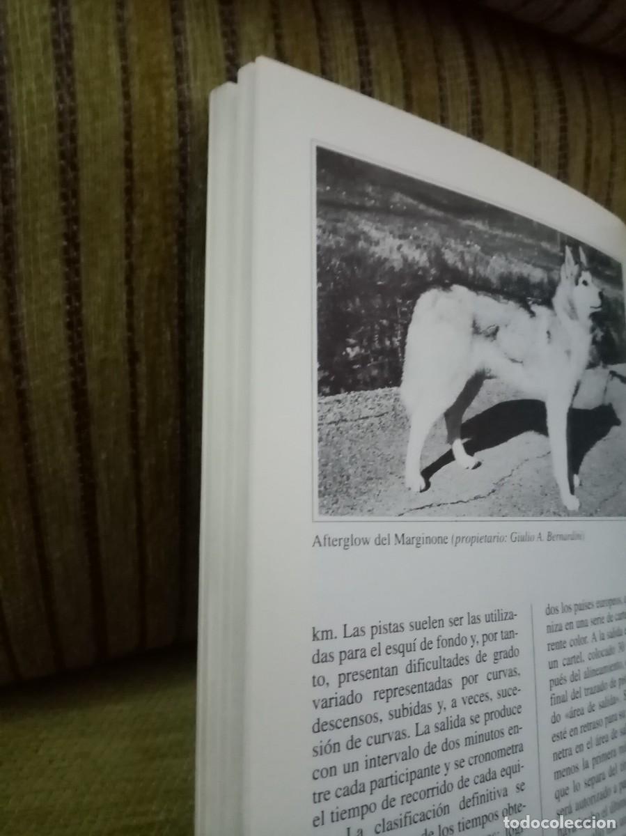 Libros de segunda mano: EL HUSKY SIBERIANO perros de raza - Foto 9