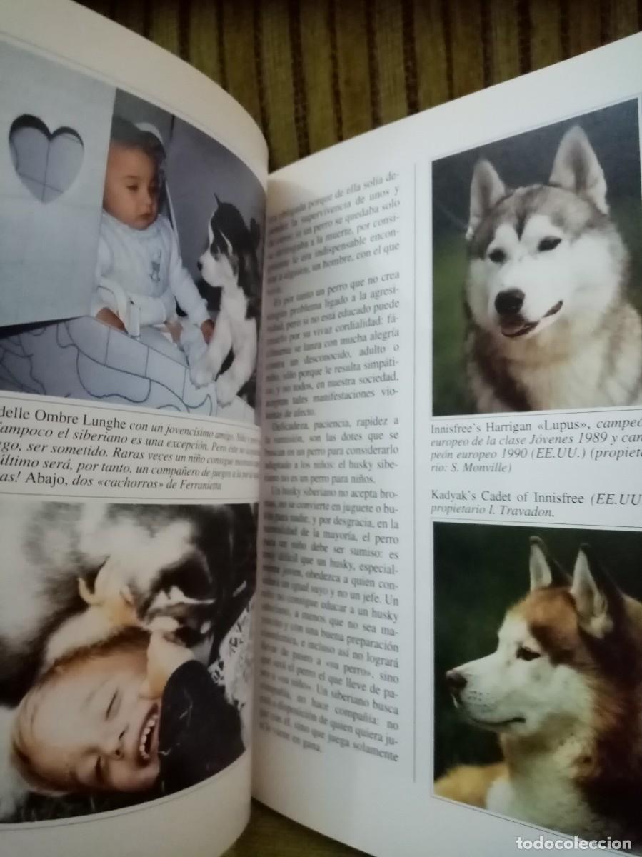Libros de segunda mano: EL HUSKY SIBERIANO perros de raza - Foto 10
