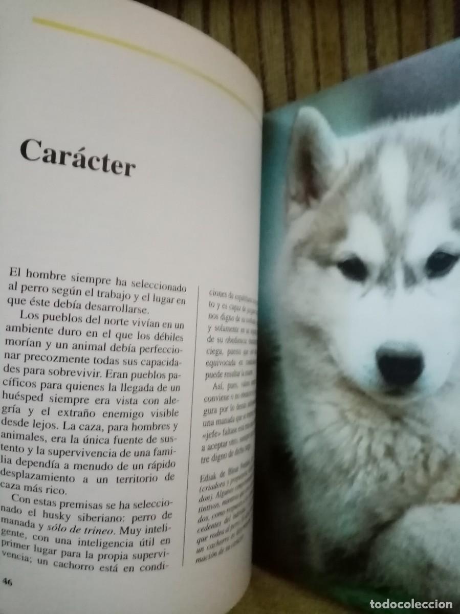 Libros de segunda mano: EL HUSKY SIBERIANO perros de raza - Foto 11