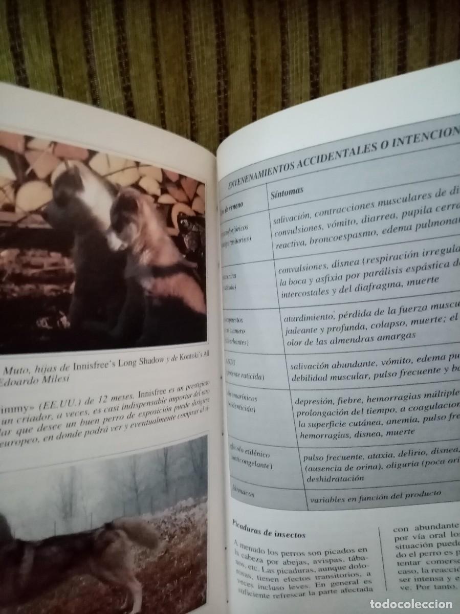 Libros de segunda mano: EL HUSKY SIBERIANO perros de raza - Foto 12