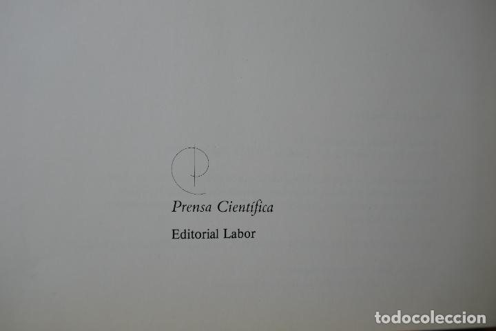 Libros de segunda mano de ciencias: POTENCIAS DE DIEZ - PHYLIS MORRISON. - Foto 7
