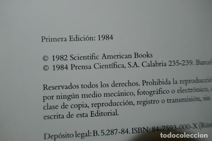 Libros de segunda mano de ciencias: POTENCIAS DE DIEZ - PHYLIS MORRISON. - Foto 8