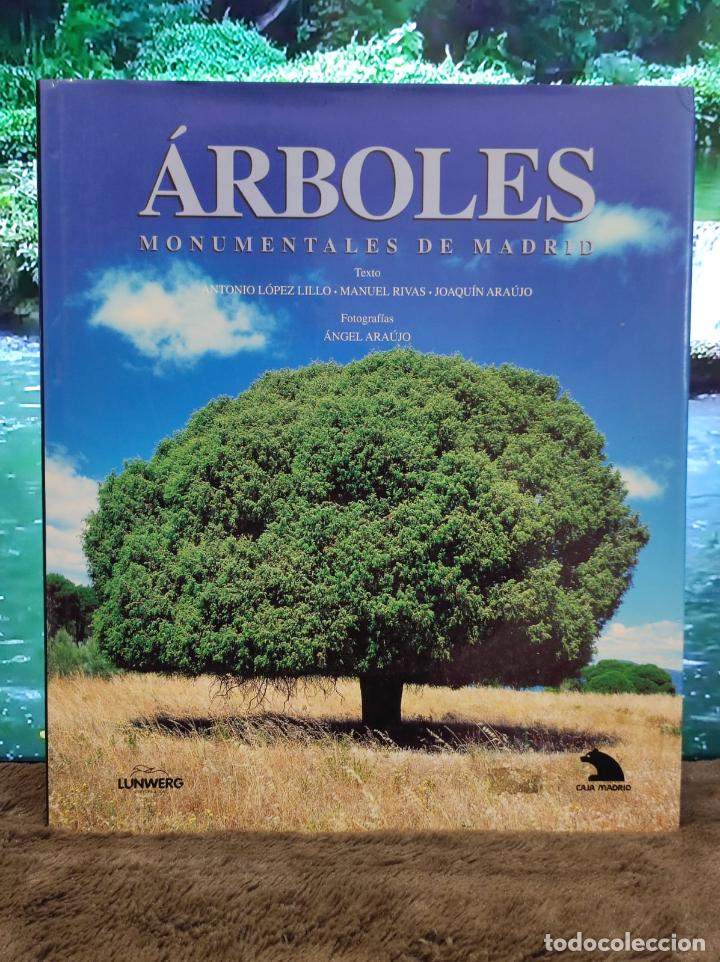 Libri di seconda mano: ARBOLES MONUMENTALES DE MADRID - Antonio Lopez / Manuel Rivas / Joaquin Araujo Lunwer (TCIB3611MG3)