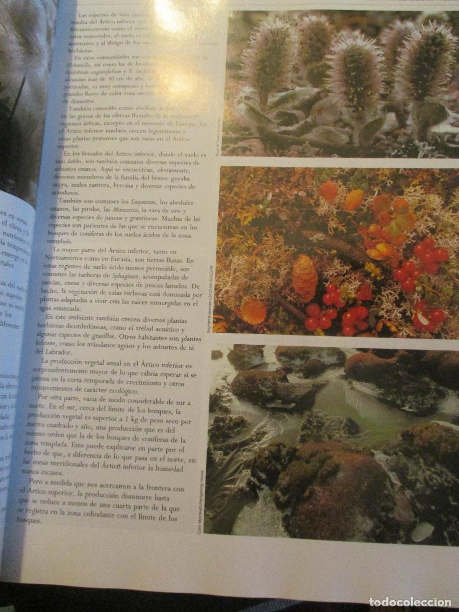 Libros de segunda mano: Biblioteca ilustrada de la tierra 3 Tomos W24787 - Foto 9