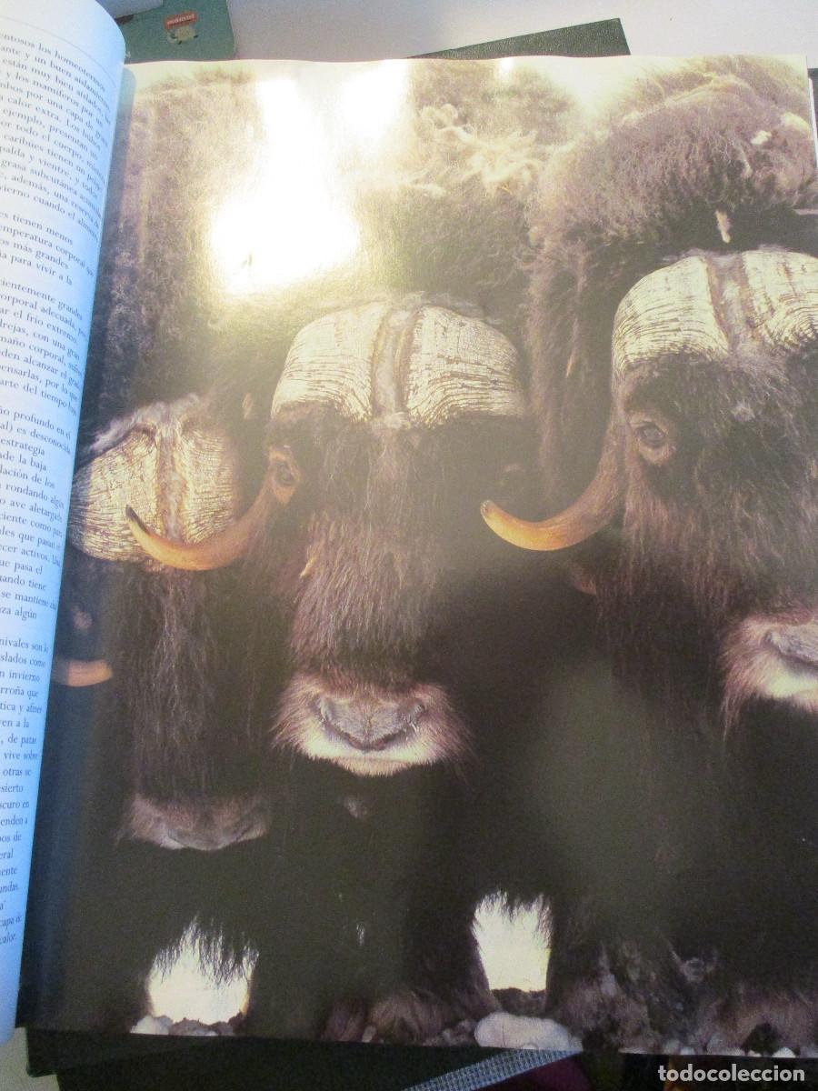 Libros de segunda mano: Biblioteca ilustrada de la tierra 3 Tomos W24787 - Foto 10