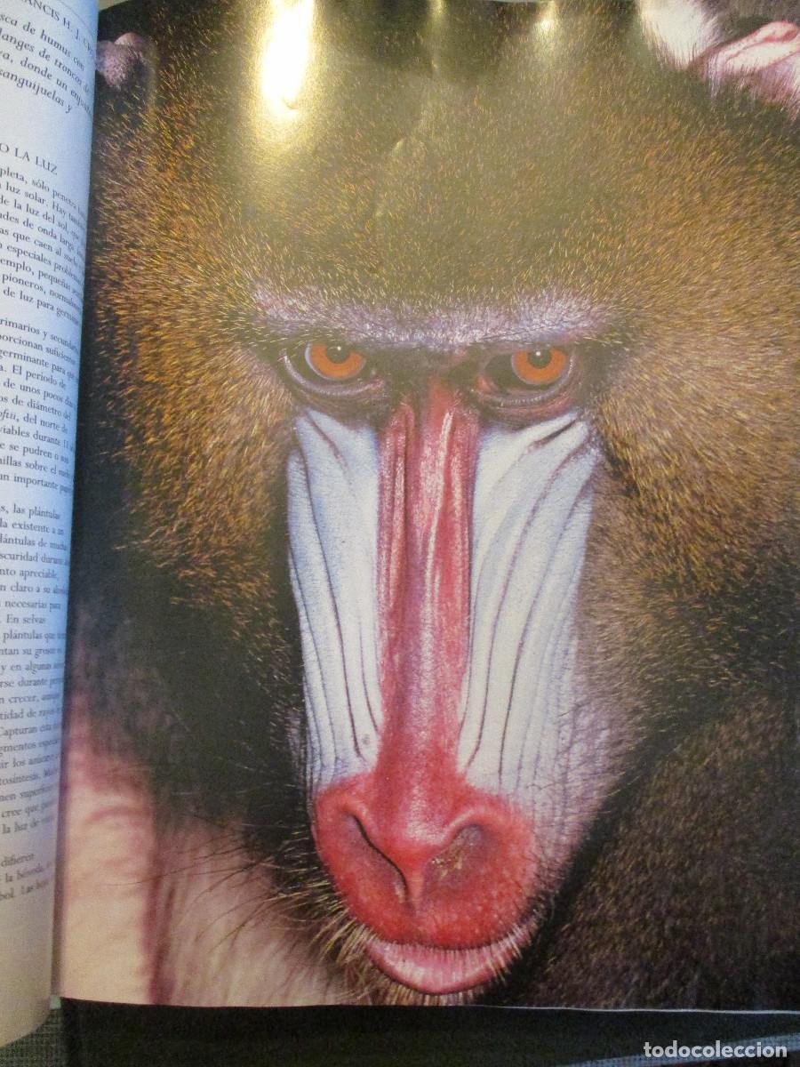 Libros de segunda mano: Biblioteca ilustrada de la tierra 3 Tomos W24787 - Foto 12