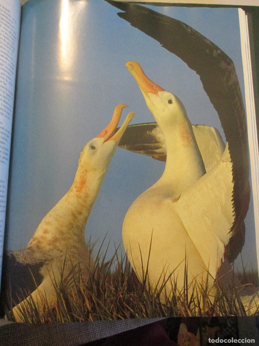 Libros de segunda mano: Biblioteca ilustrada de la tierra 3 Tomos W24787 - Foto 14