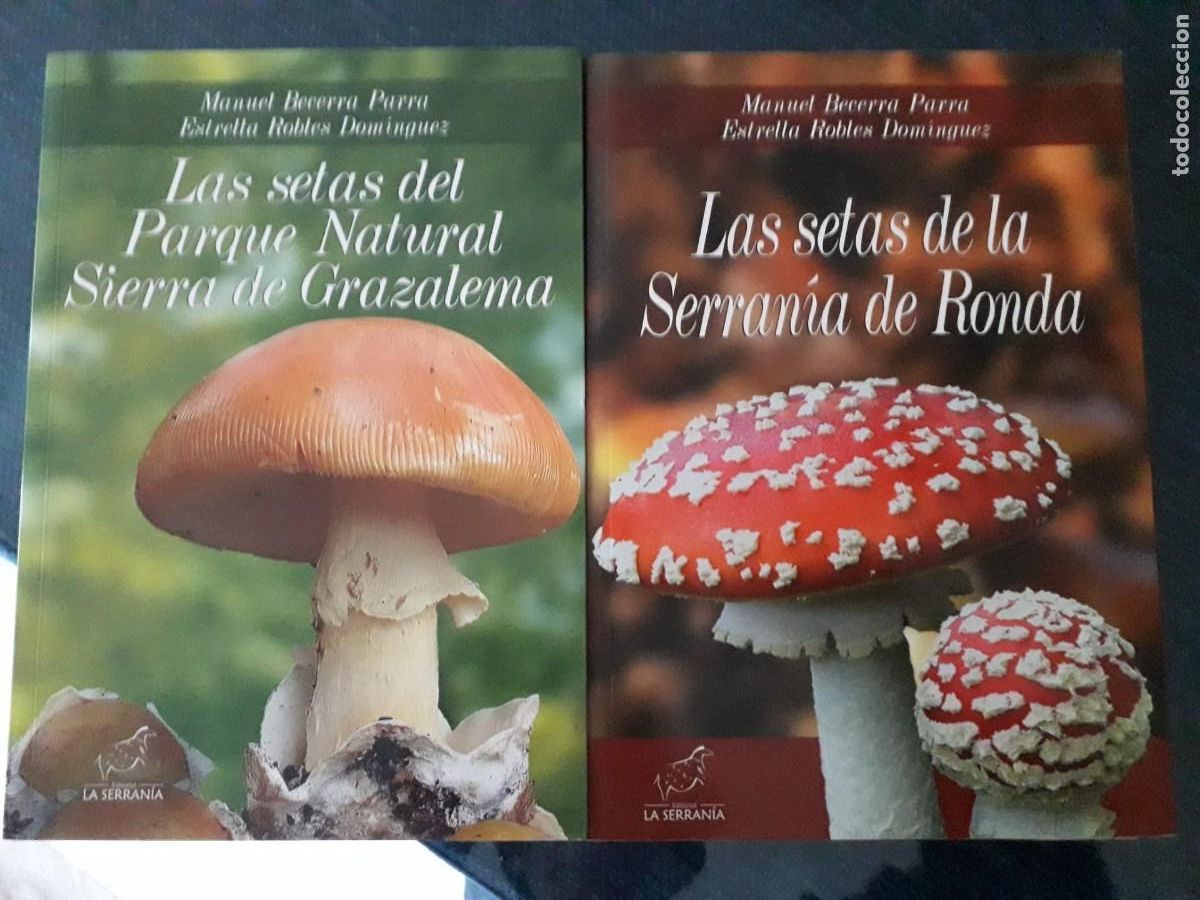 Libros de segunda mano: SETAS DE LA SERRANIA DE RONDA Y DE LA SSIERRA DE GRAZALEMA - Foto 1