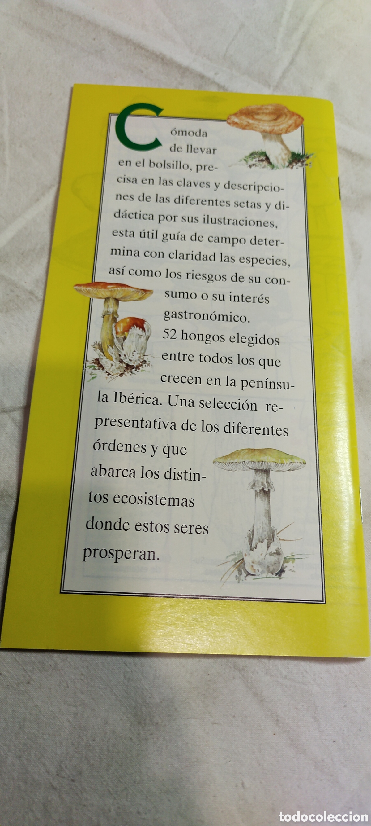 Libros de segunda mano: Gu&iacute;a de campo de las setas. Libro natura - Foto 2