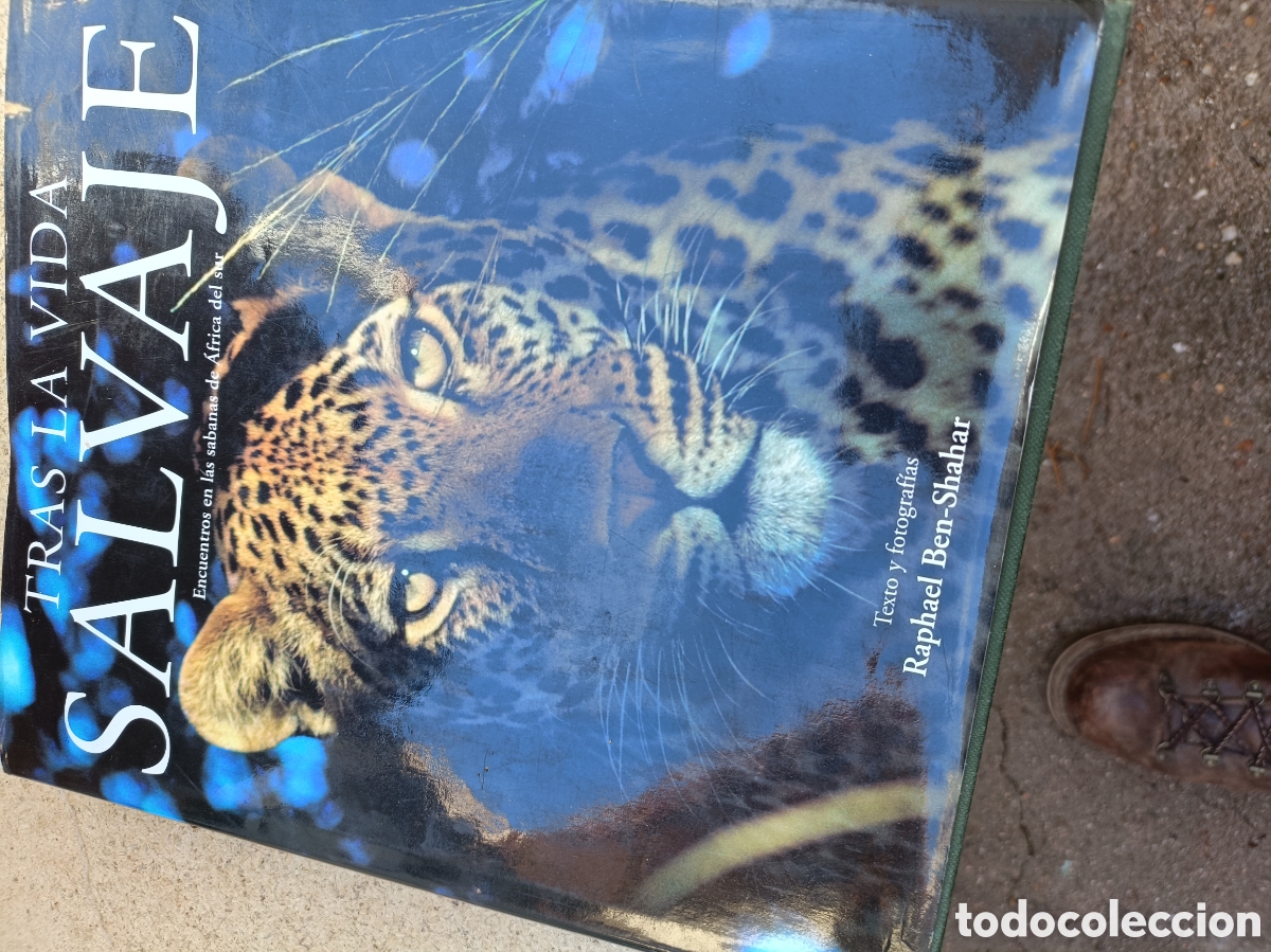Libros de segunda mano: Tras la vida salvaje tapa dura con sobrecubierta - Foto 1