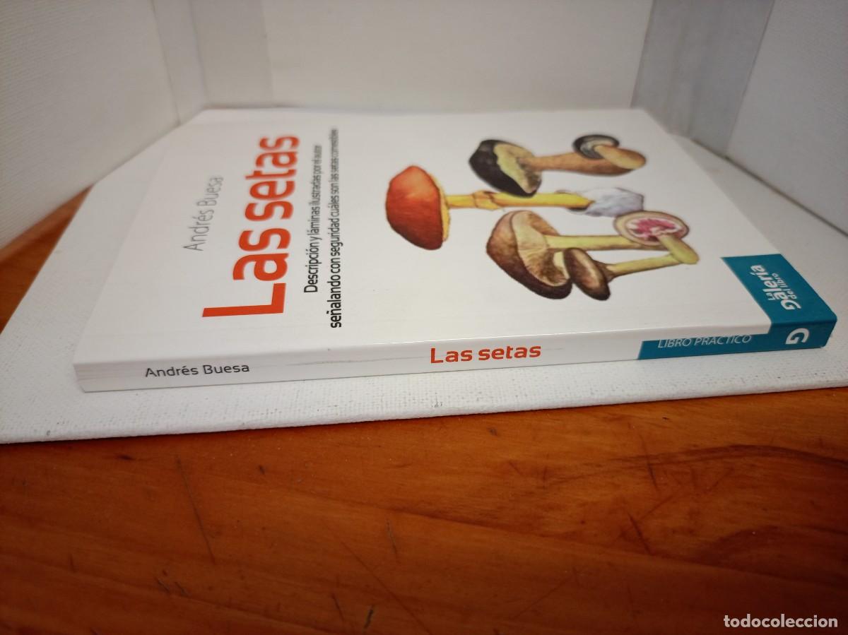 Libros de segunda mano: LAS SETAS ANDRES BUESA - Foto 3