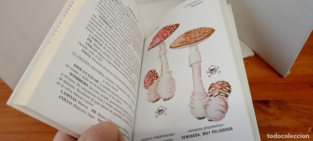 Libros de segunda mano: LAS SETAS ANDRES BUESA - Foto 4