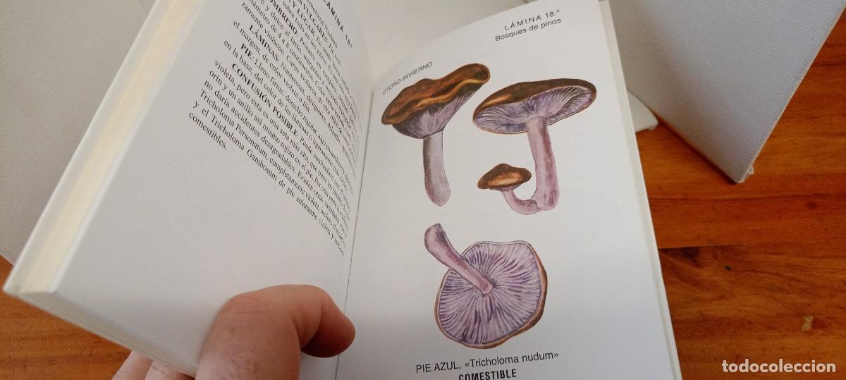 Libros de segunda mano: LAS SETAS ANDRES BUESA - Foto 5