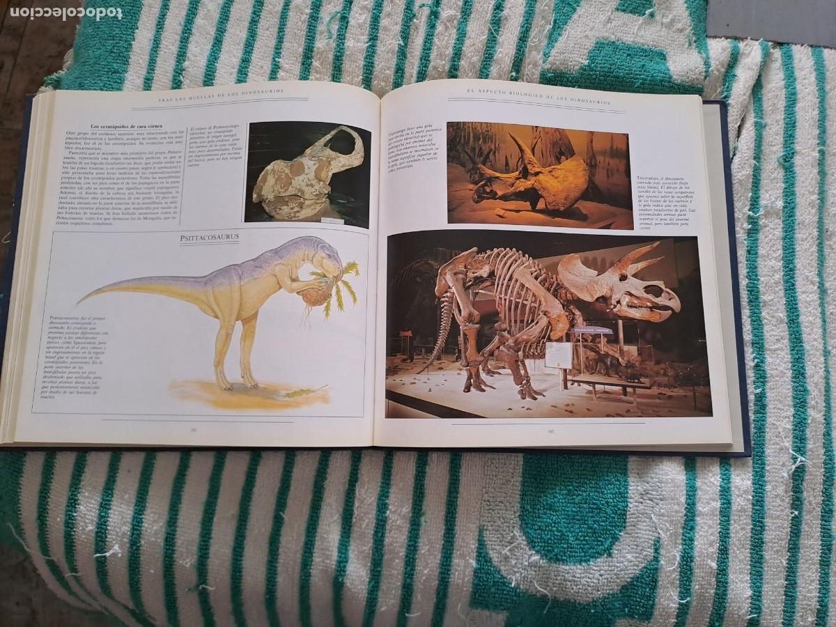 Libros de segunda mano: Tras las Huellas de los Dinosauros - Foto 2