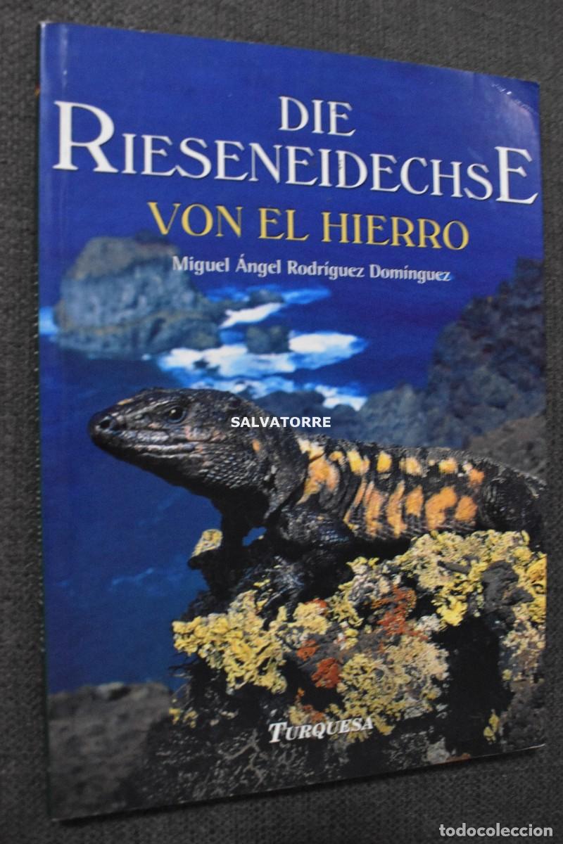 Libros de segunda mano: MIGUEL ANGEL RODRIGUEZ DOMINGUEZ.DIE RIESENEIDESCSE VON HIERRO KANAREN. CANARIAS EL HIERRO