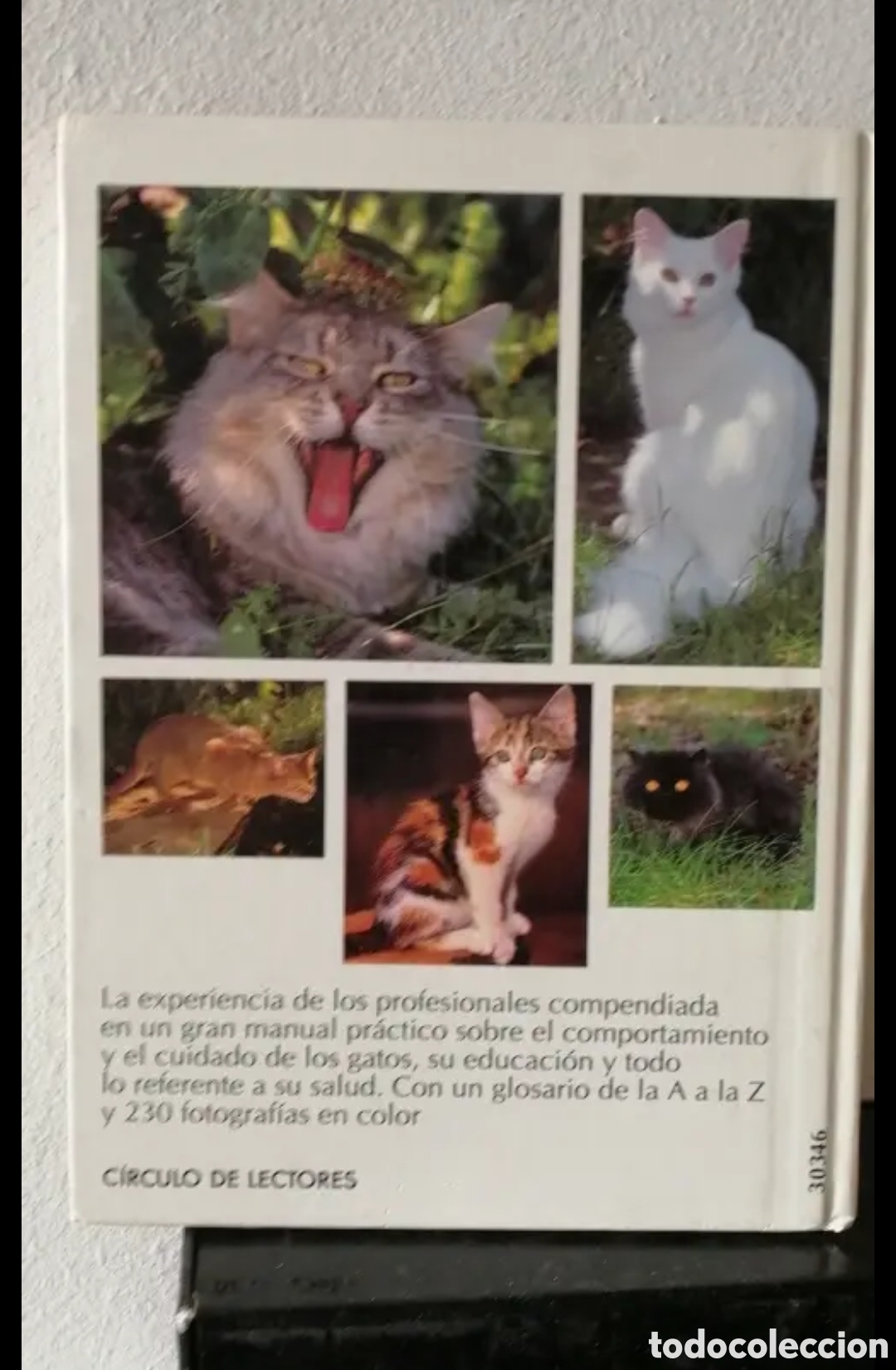 Libros de segunda mano: Todo sobre tu gato Manual pr&aacute;ctico C&iacute;rculo de lectores - Foto 2