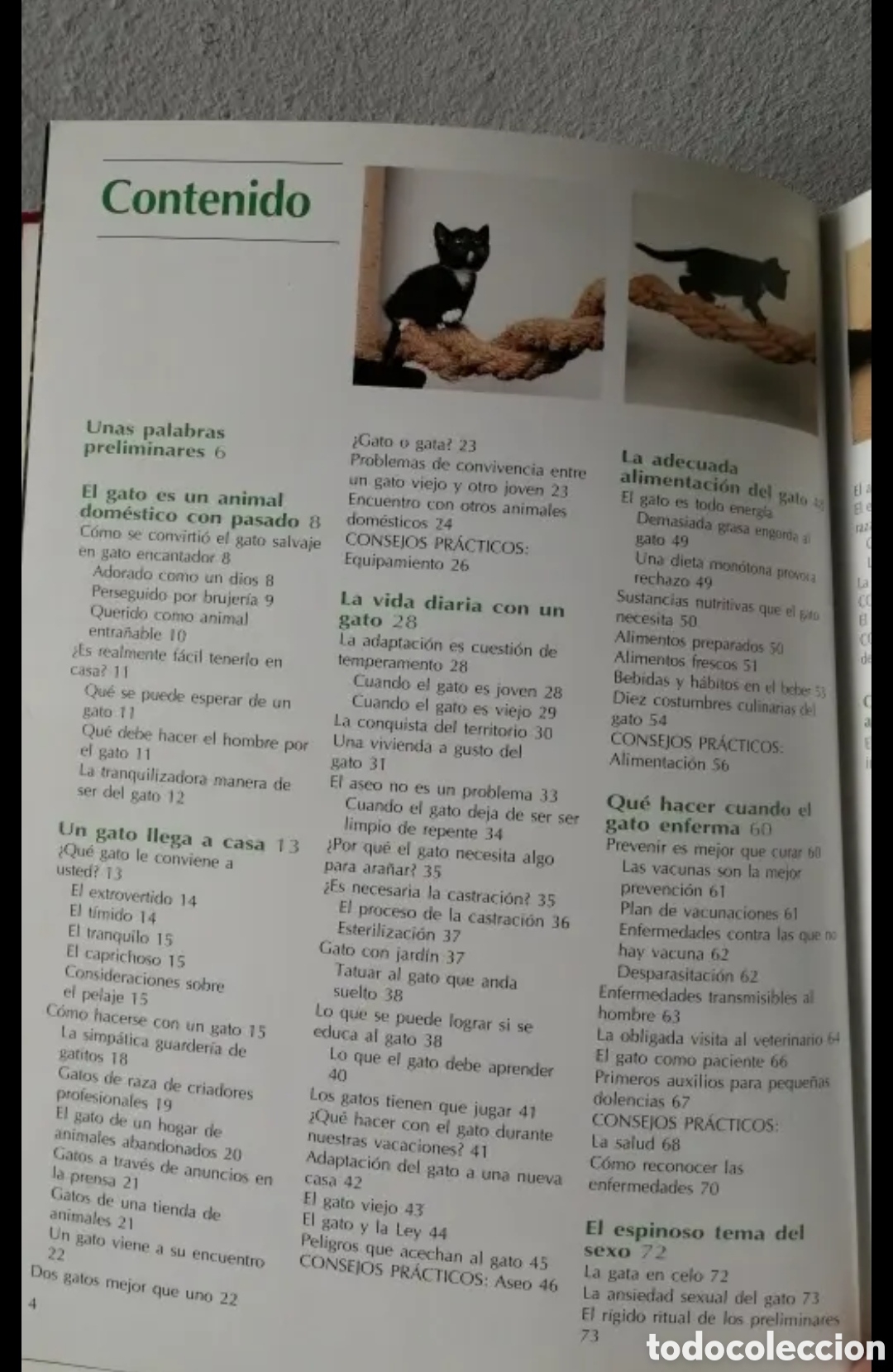 Libros de segunda mano: Todo sobre tu gato Manual pr&aacute;ctico C&iacute;rculo de lectores - Foto 3