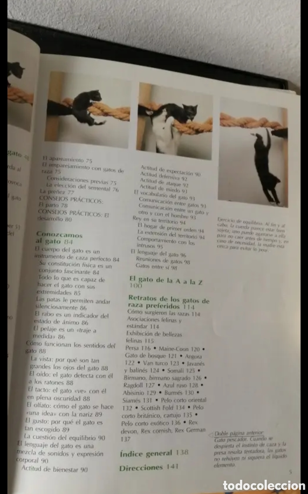 Libros de segunda mano: Todo sobre tu gato Manual pr&aacute;ctico C&iacute;rculo de lectores - Foto 4