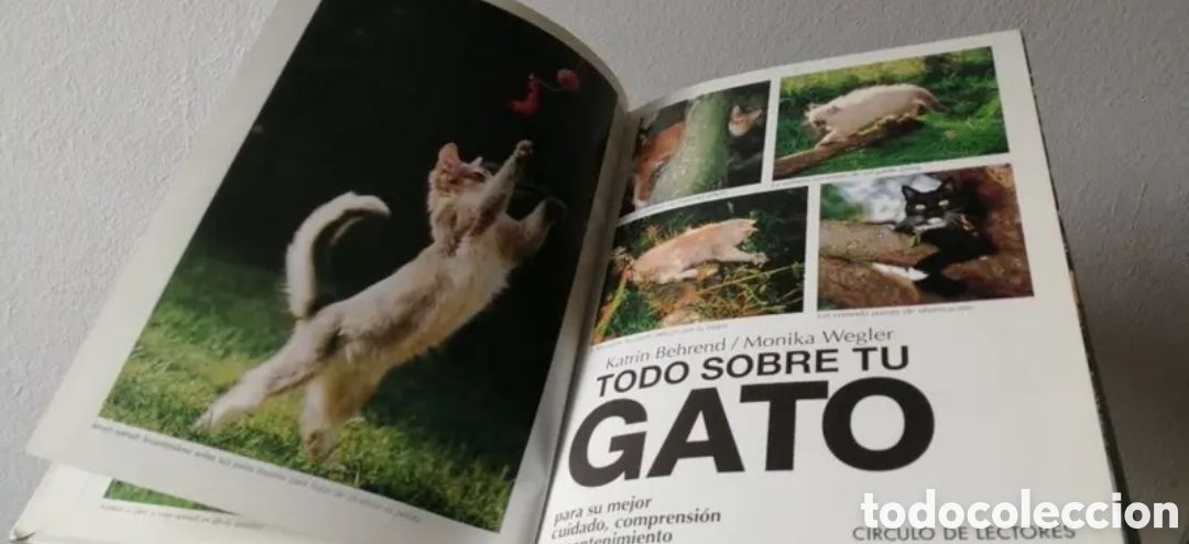 Libros de segunda mano: Todo sobre tu gato Manual pr&aacute;ctico C&iacute;rculo de lectores - Foto 5