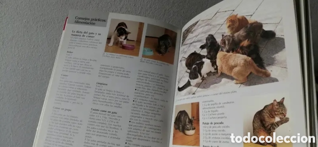 Libros de segunda mano: Todo sobre tu gato Manual pr&aacute;ctico C&iacute;rculo de lectores - Foto 7