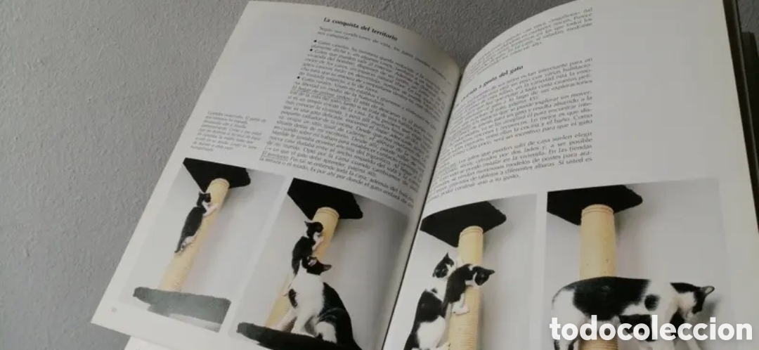 Libros de segunda mano: Todo sobre tu gato Manual pr&aacute;ctico C&iacute;rculo de lectores - Foto 8