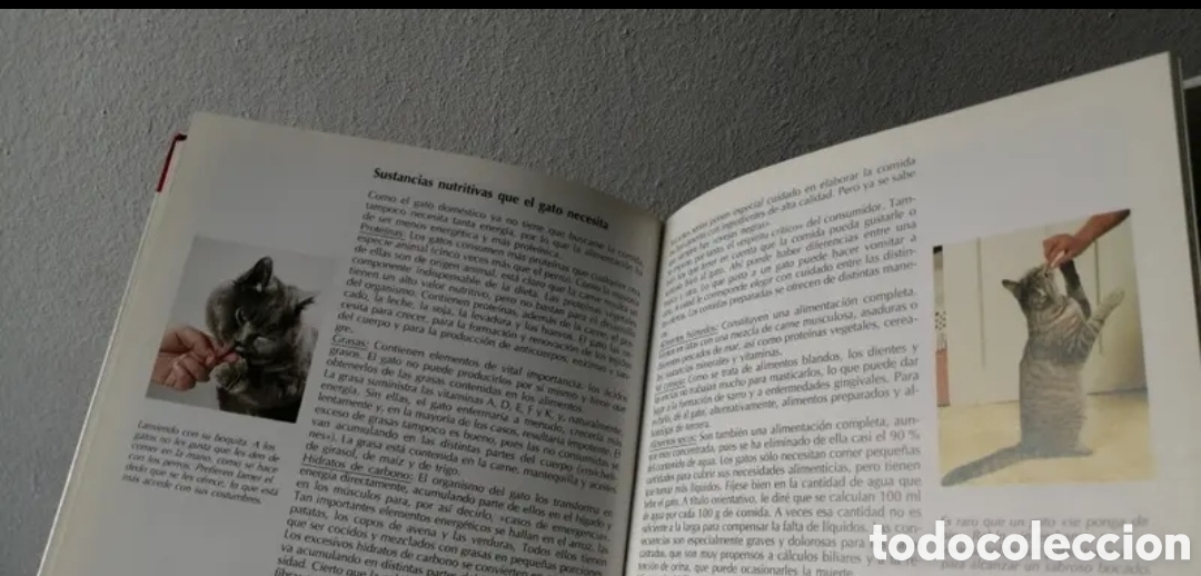 Libros de segunda mano: Todo sobre tu gato Manual pr&aacute;ctico C&iacute;rculo de lectores - Foto 9