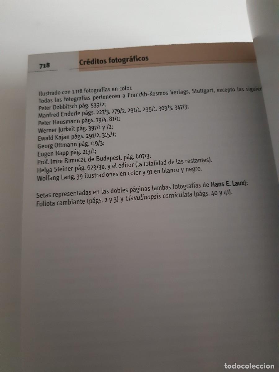 Libros de segunda mano: Setas de Espa&ntilde;a y Europa Hans E Laux - Foto 2
