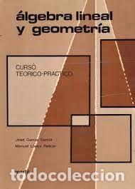 Libri di seconda mano: &Aacute;lgebra lineal y geometr&iacute;a curso te&oacute;rico practico Jos&eacute; Gaarc&iacute;a Garc&iacute;a Manuel L&oacute;pez Pellicer