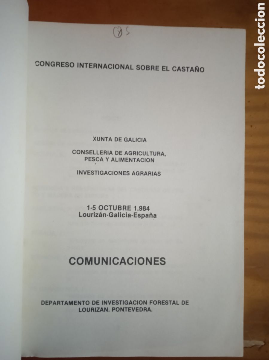 Libros de segunda mano: Congreso Internacional sobre el Casta&ntilde;o. - Foto 3