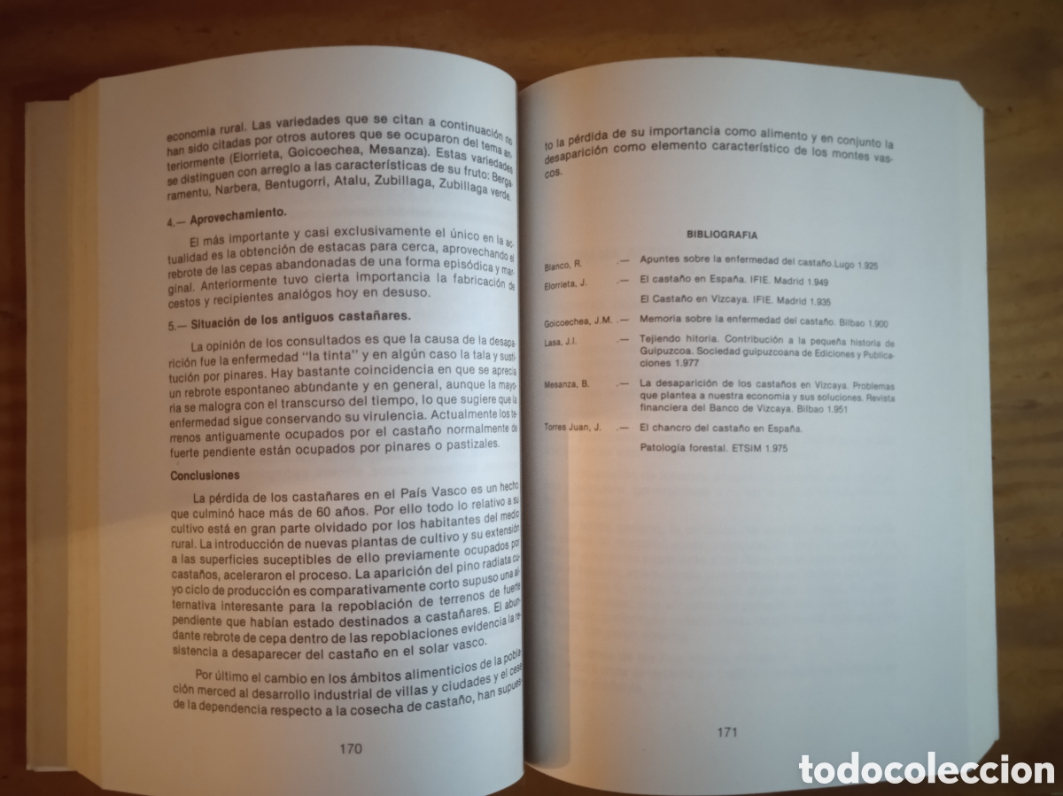 Libros de segunda mano: Congreso Internacional sobre el Casta&ntilde;o. - Foto 7