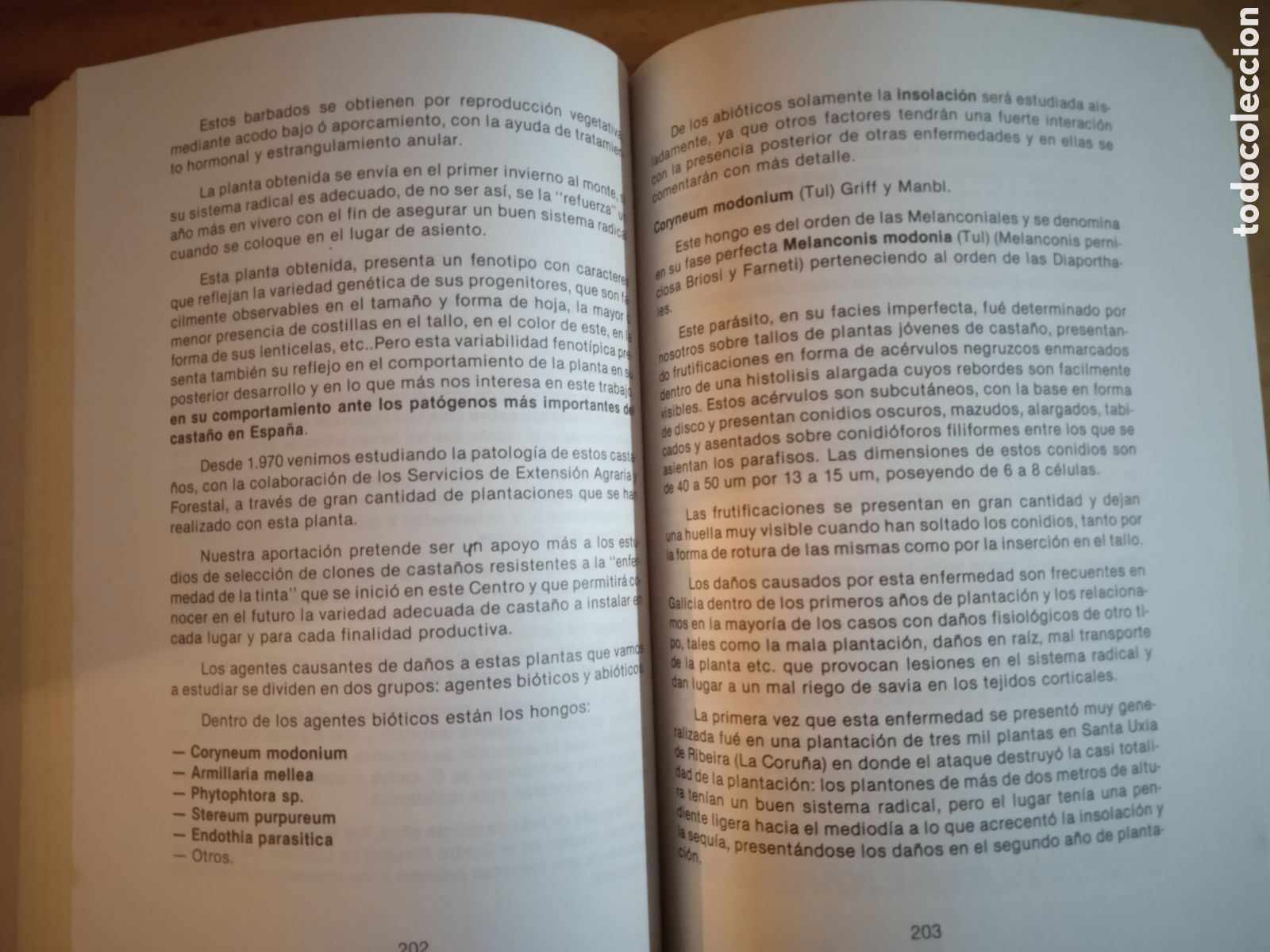 Libros de segunda mano: Congreso Internacional sobre el Casta&ntilde;o. - Foto 8