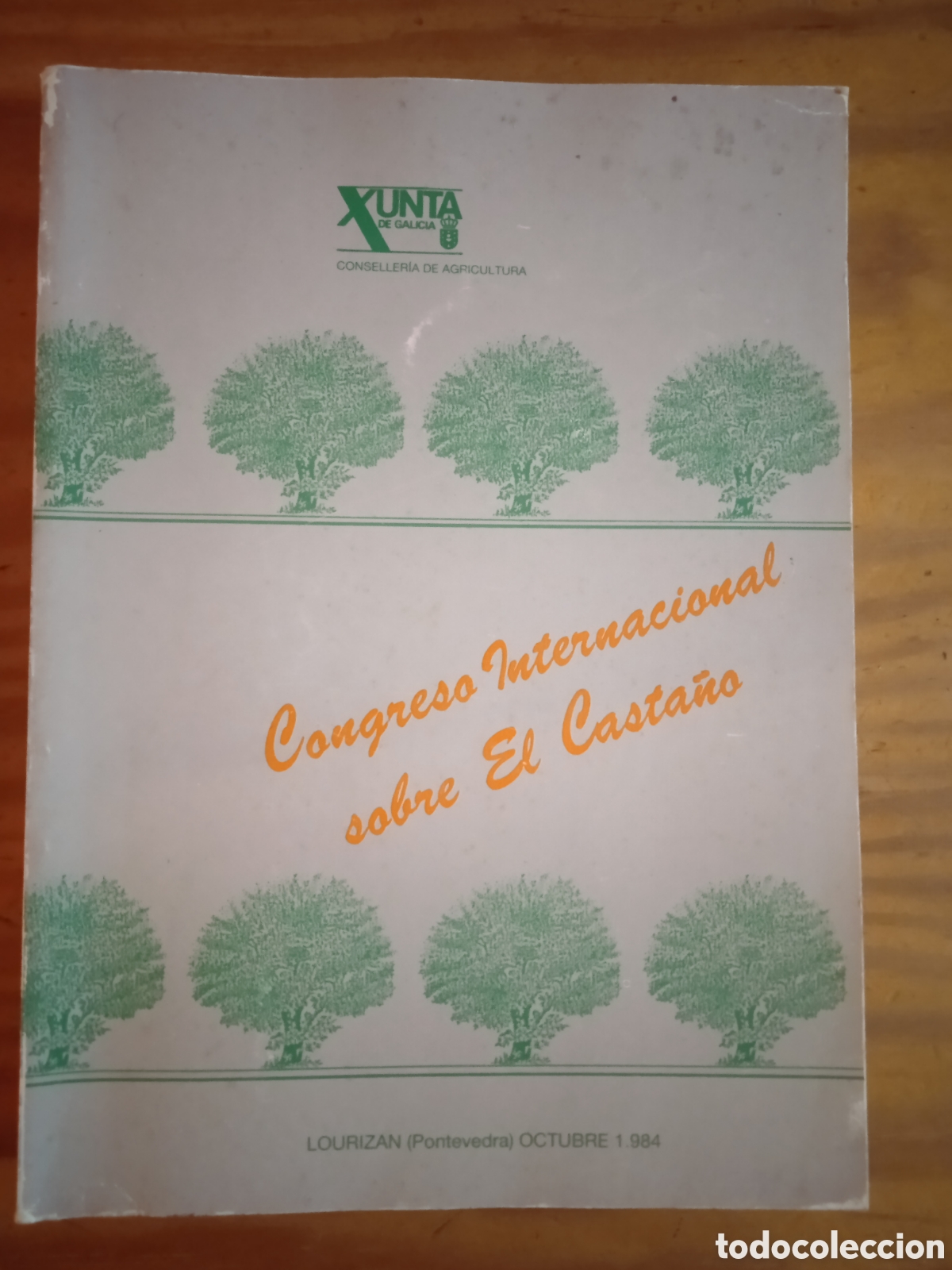 Libri di seconda mano: Congreso Internacional sobre el Casta&ntilde;o.