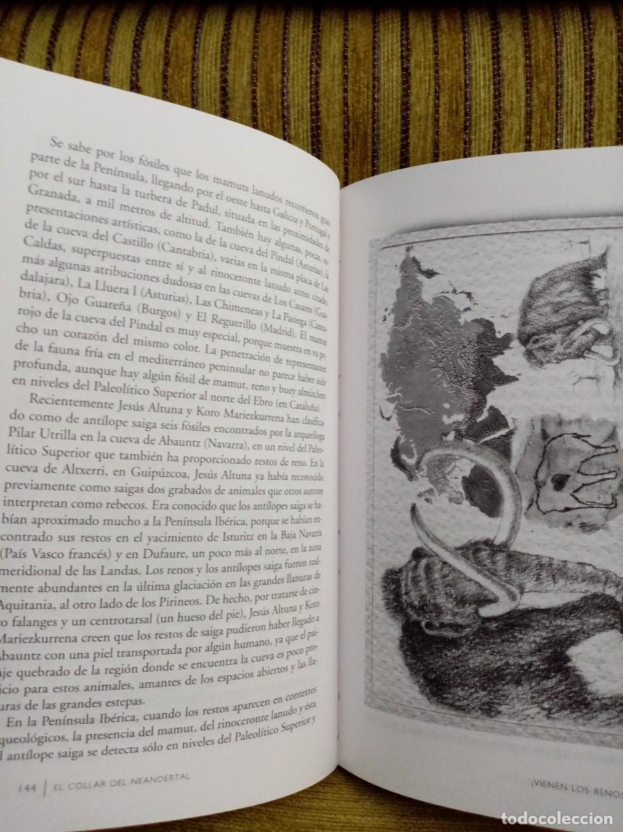 Libros de segunda mano: EL COLLAR DEL NEANDERTAL - Foto 11